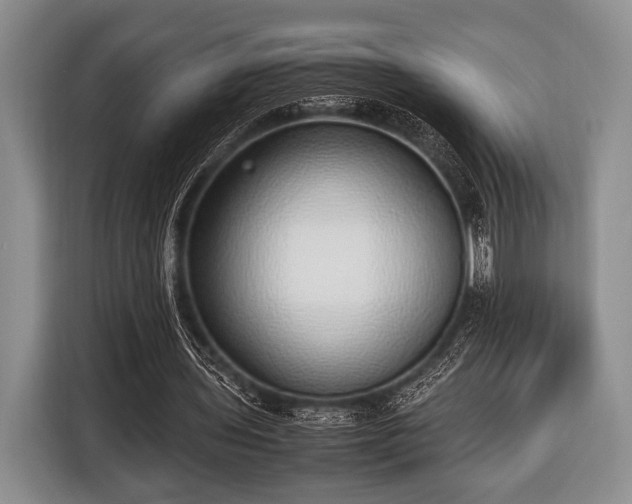 X0000116420435200912151001