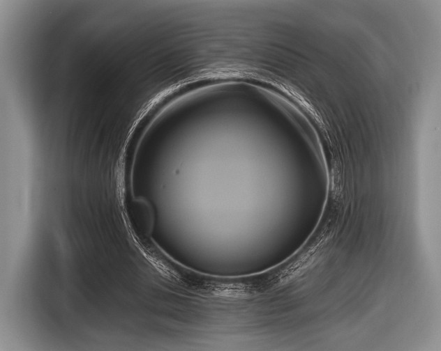 X0000116420438200912151001