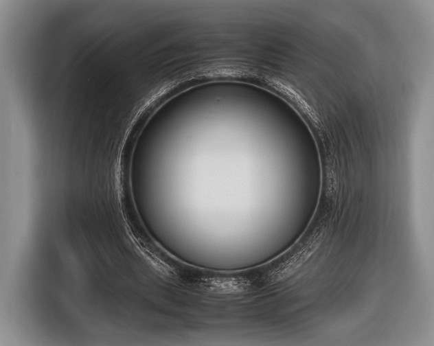 X0000116420439200912151001