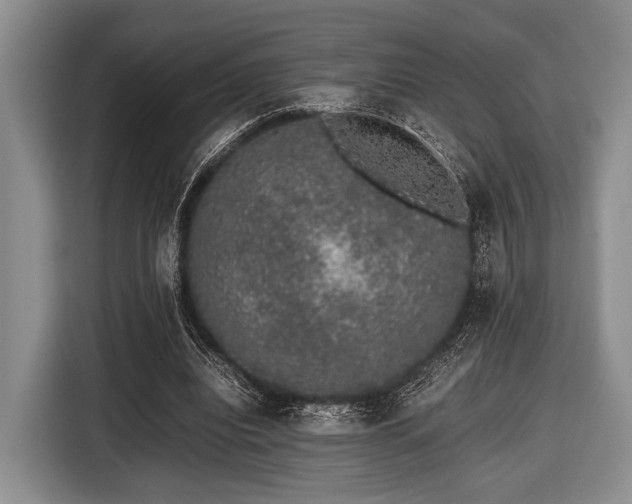 X0000116420440200912151001