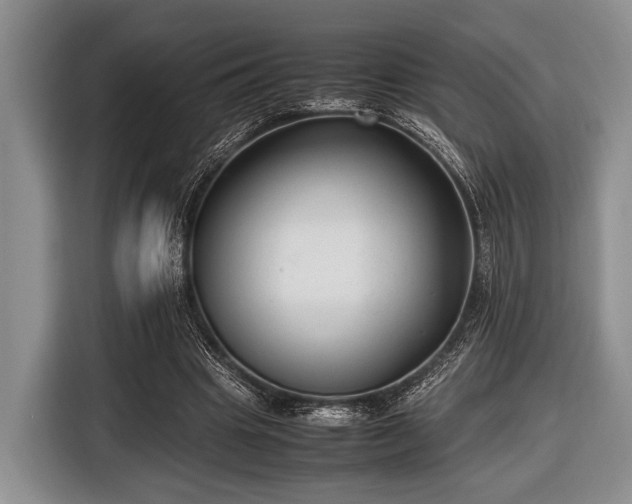 X0000116420441200912151001