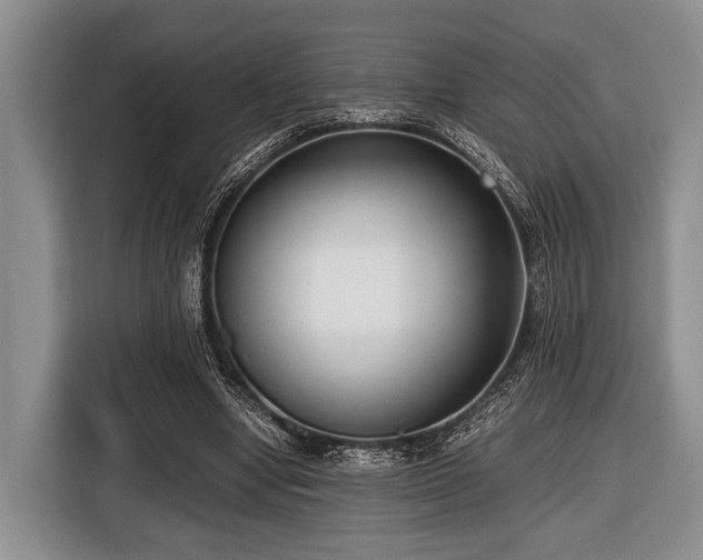 X0000116420442200912151001