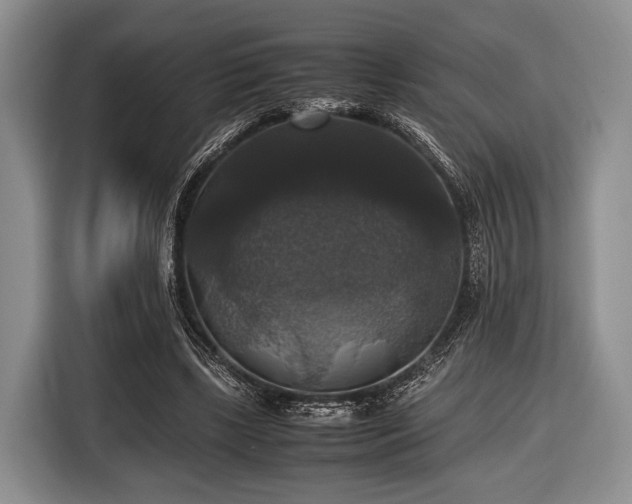 X0000116420443200912151001