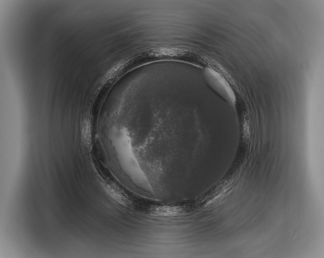 X0000116420444200912151001