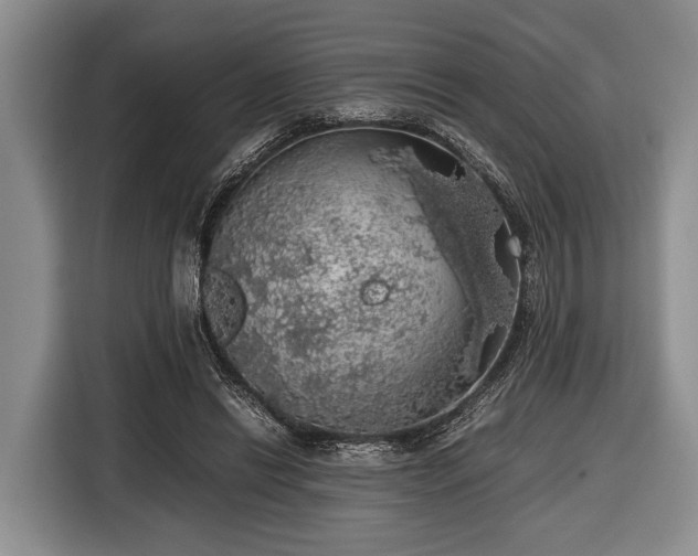 X0000116420446200912151001