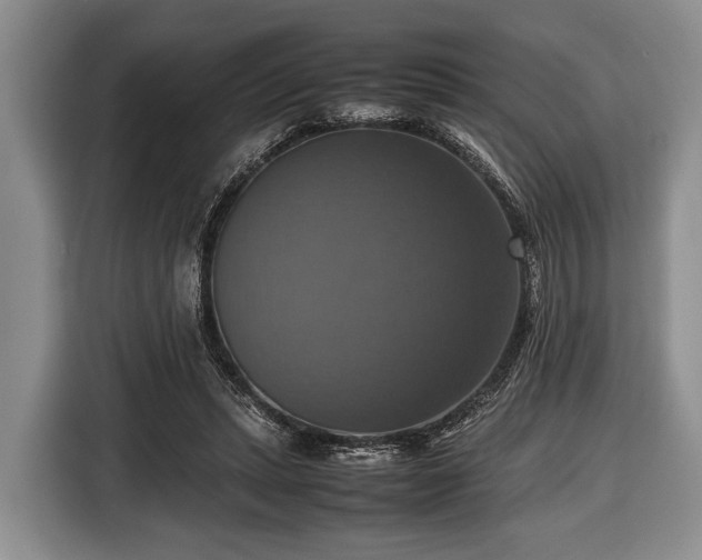 X0000116420447200912151001