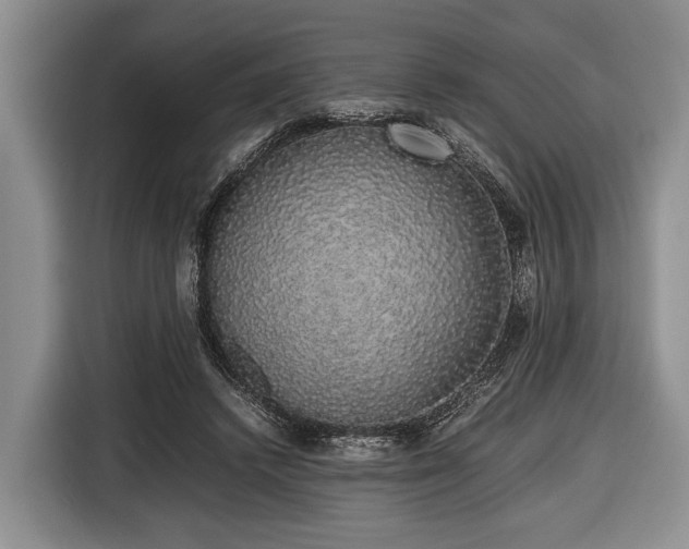 X0000116420448200912151001