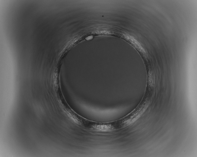 X0000116420449200912151001