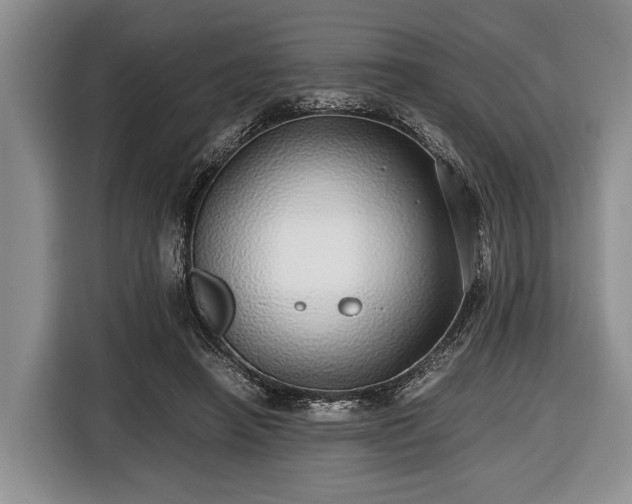 X0000116420450200912151001