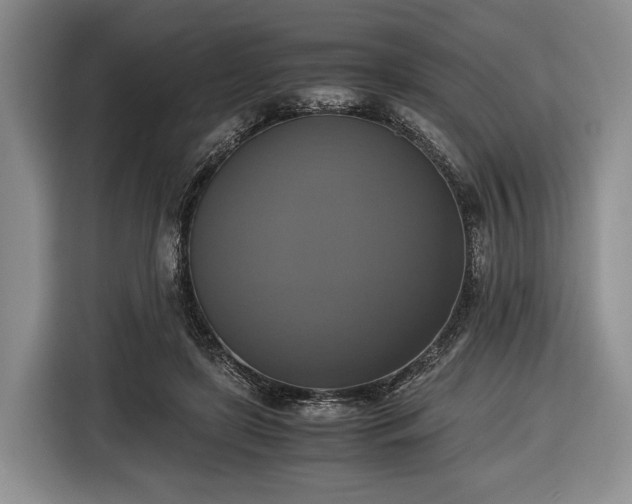 X0000116420451200912151001