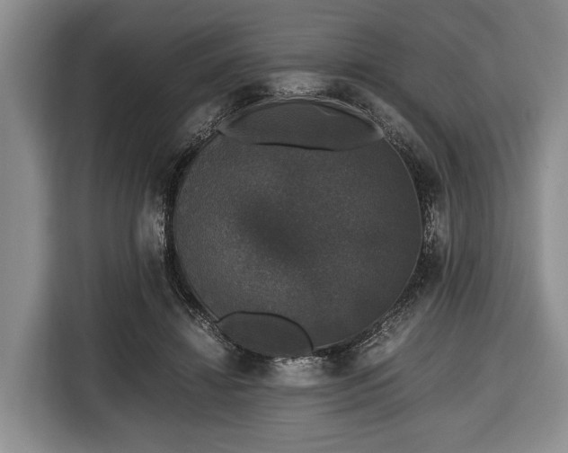 X0000116420452200912151001