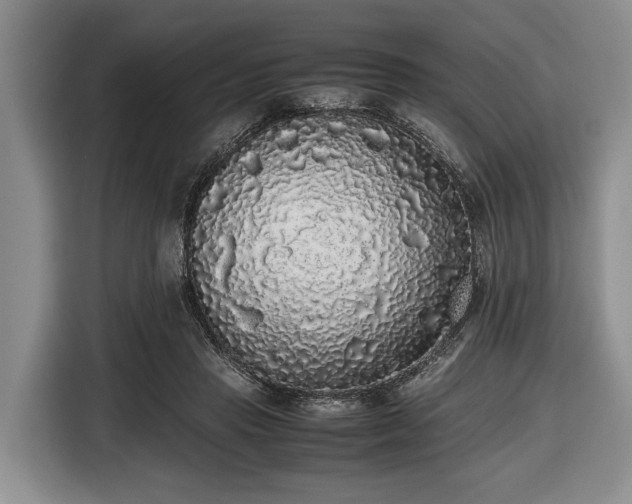 X0000116420453200912151001