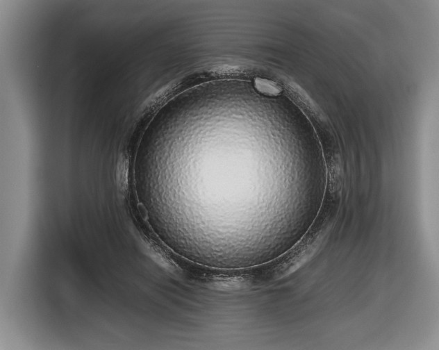X0000116420454200912151001