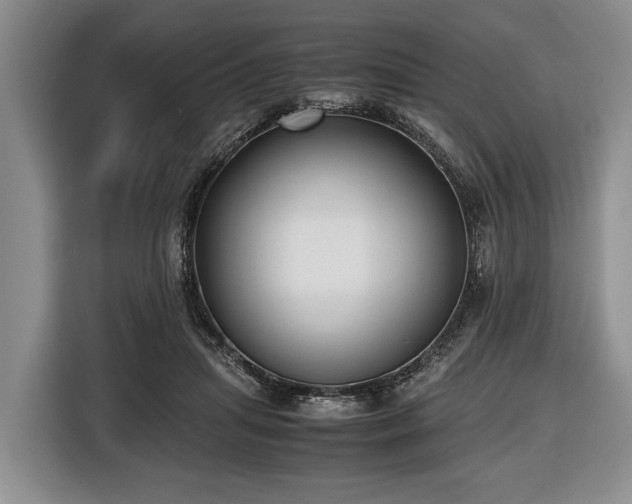 X0000116420455200912151001