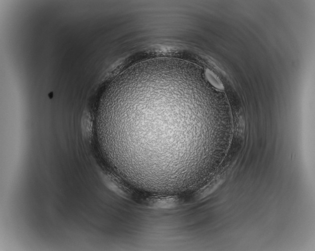 X0000116420456200912151001