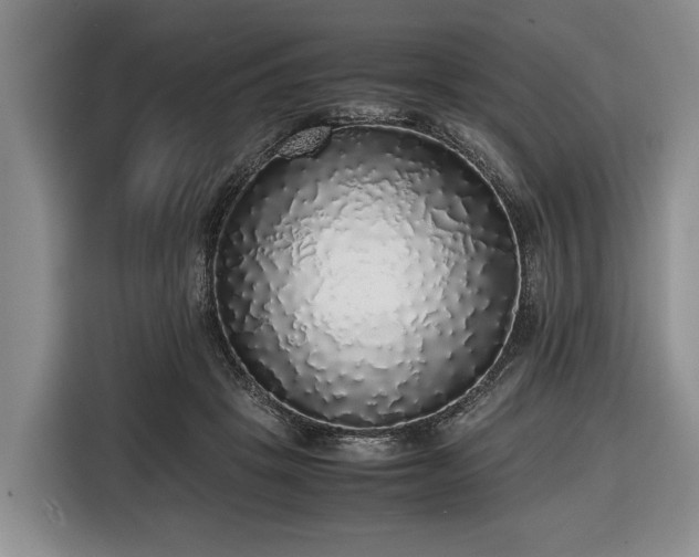 X0000116420457200912151001