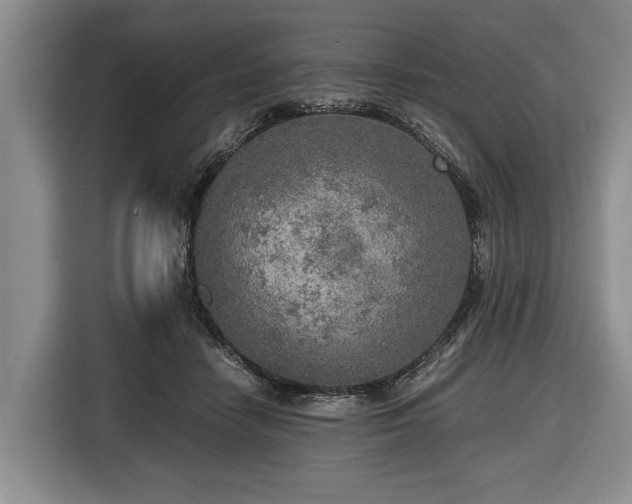 X0000116420458200912151001