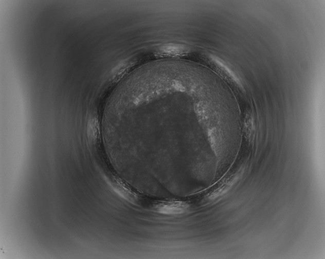 X0000116420459200912151001