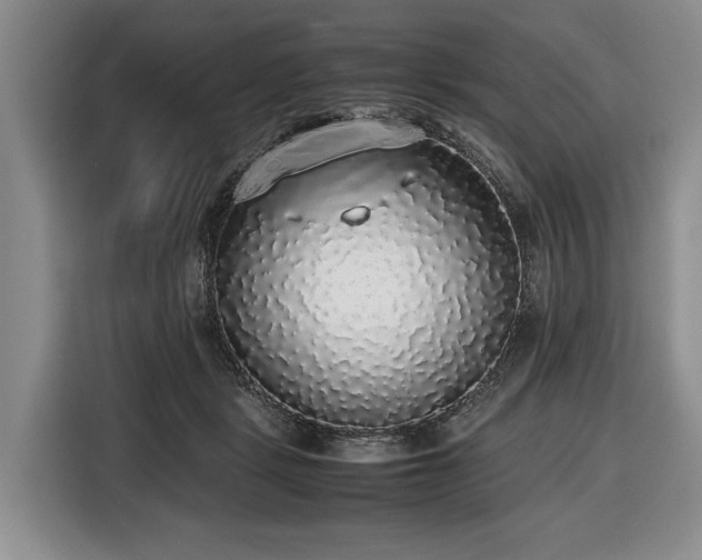 X0000116420461200912151001