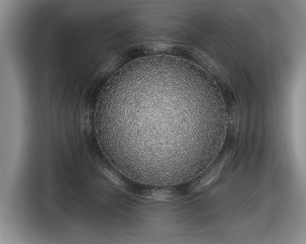 X0000116420462200912151002