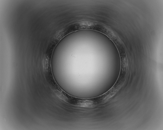 X0000116420463200912151002