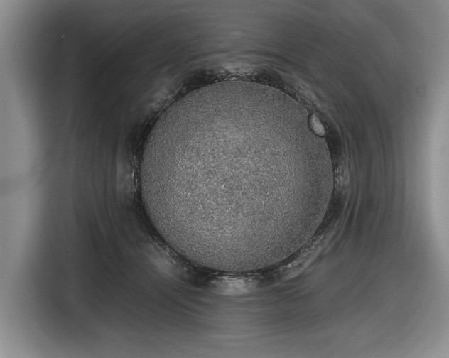 X0000116420464200912151002