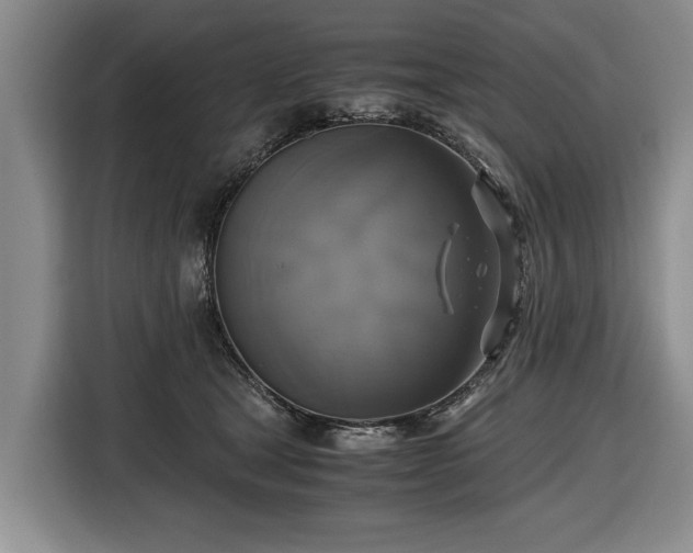 X0000116420465200912151002