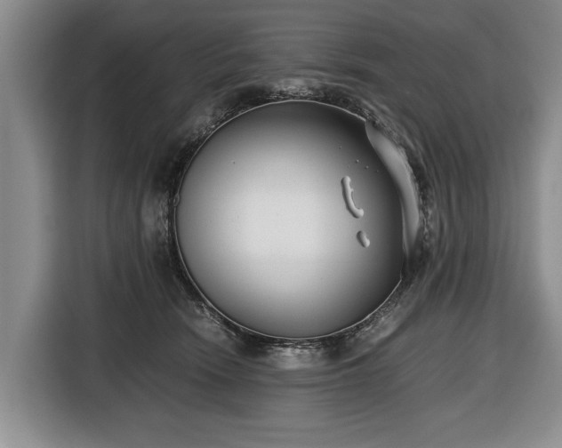 X0000116420466200912151002