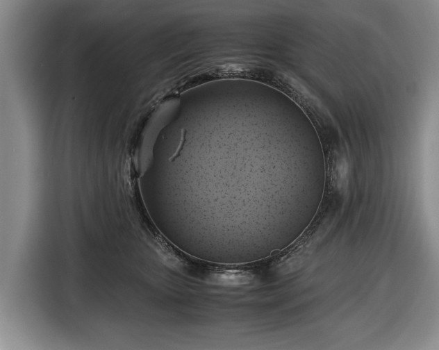 X0000116420467200912151002