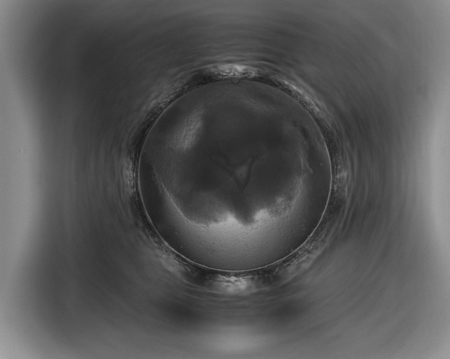 X0000116420469200912151002