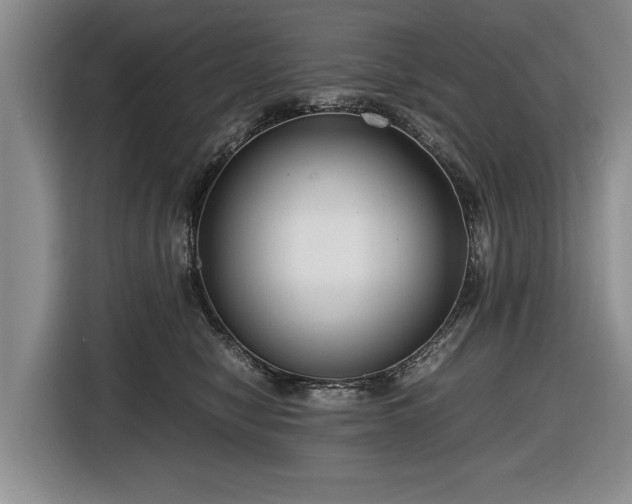 X0000116420470200912151002