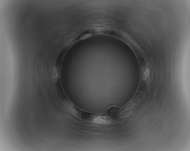 X0000116420471200912151002