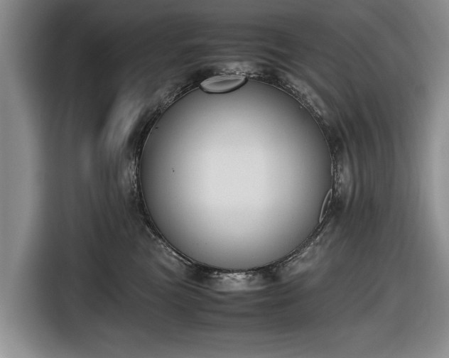 X0000116420473200912151002
