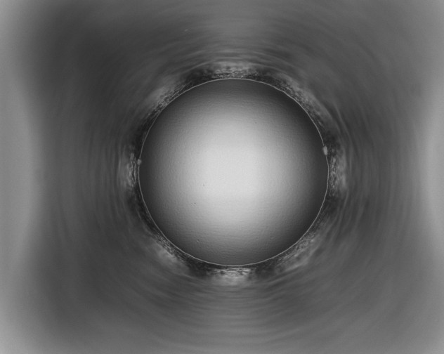 X0000116420474200912151002