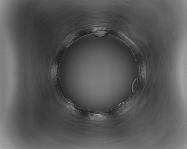 X0000116420475200912151002