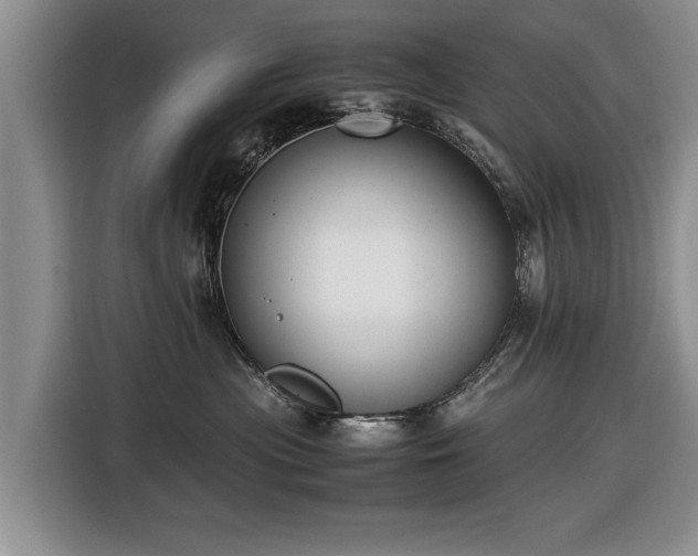X0000116420477200912151002