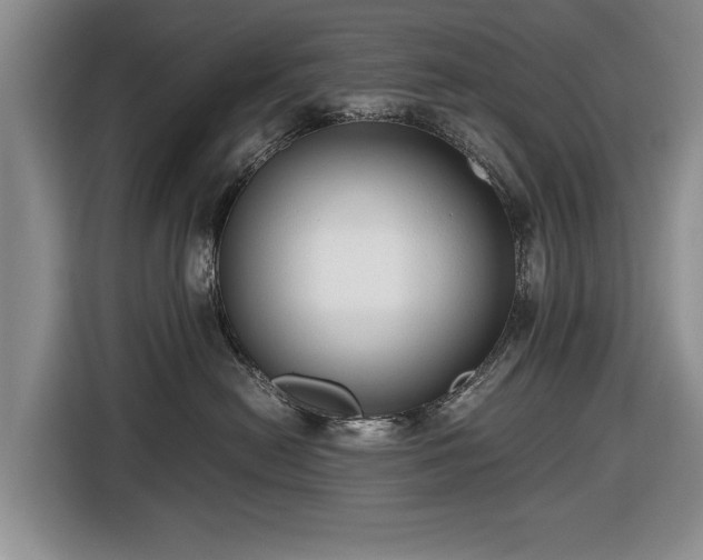 X0000116420478200912151002