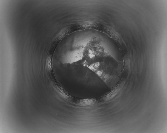 X0000116420479200912151002