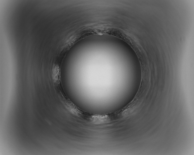 X0000116420480200912151002