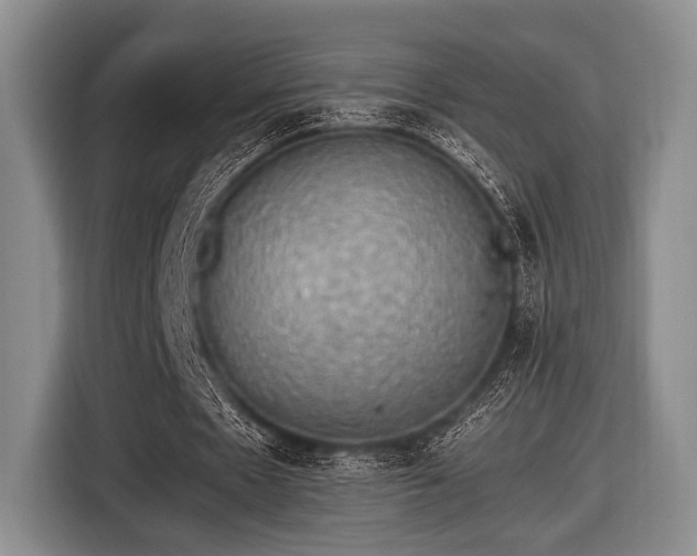 X0000116420481200912151001