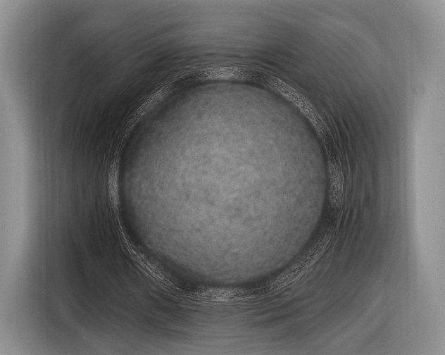 X0000116420482200912151001