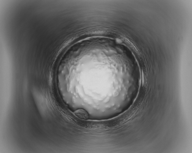 X0000116420483200912151001