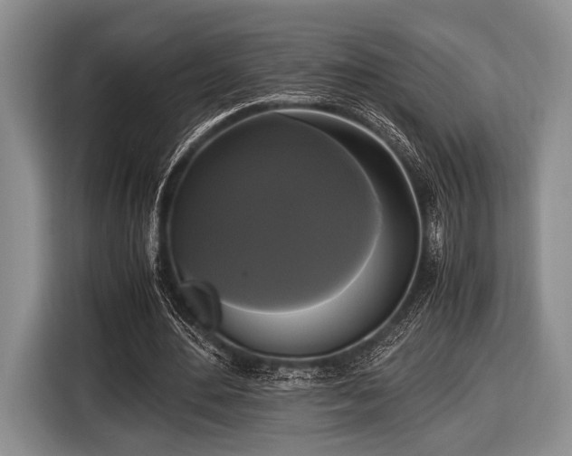 X0000116420484200912151001
