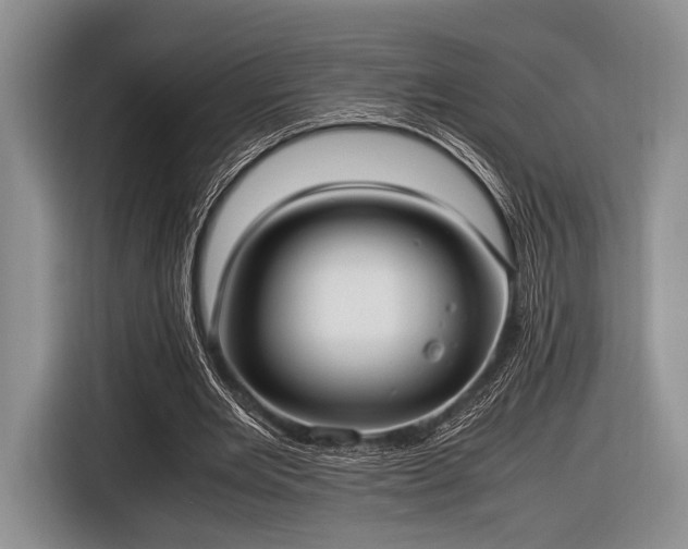 X0000116420485200912151001