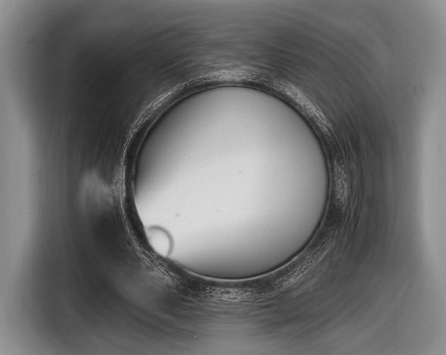 X0000116420486200912151001