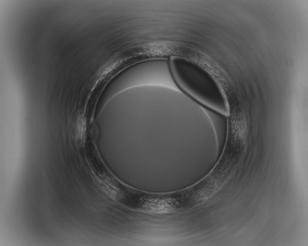 X0000116420488200912151001