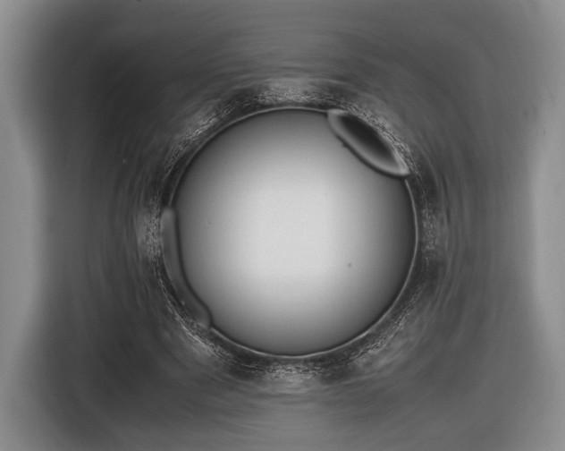 X0000116420489200912151001