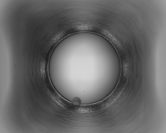 X0000116420490200912151001