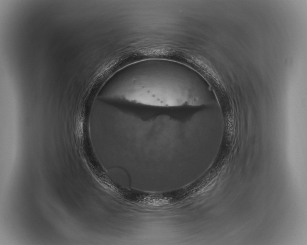 X0000116420491200912151001