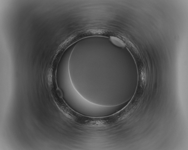 X0000116420492200912151001